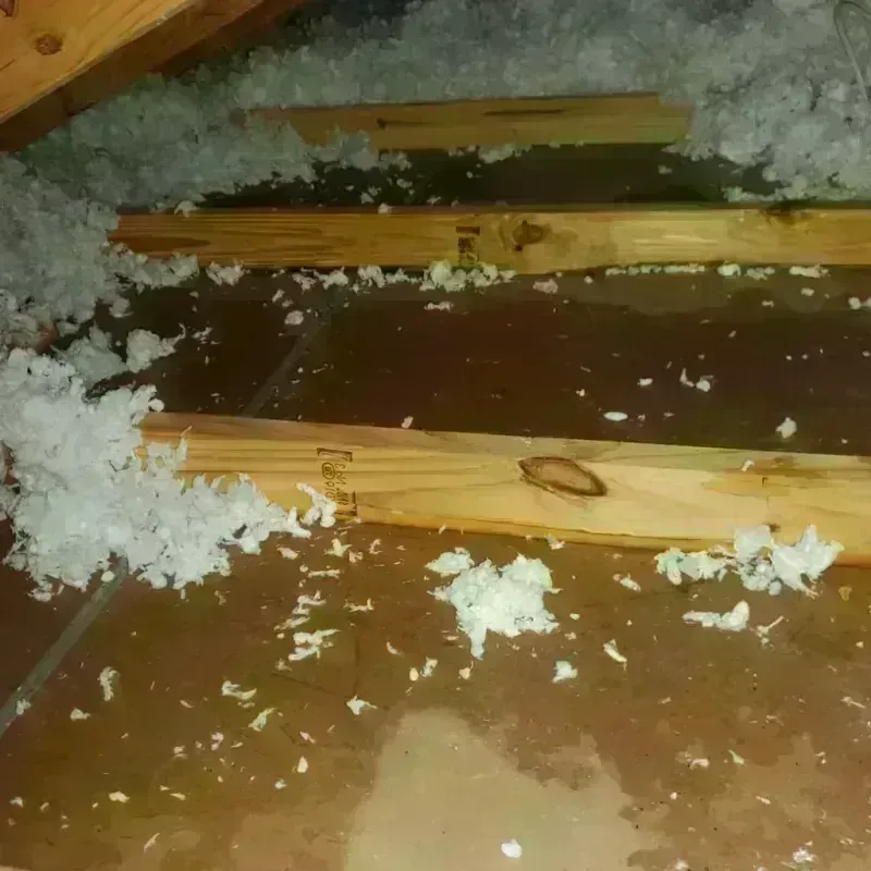 Attic Water Damage in Wildwood, NJ