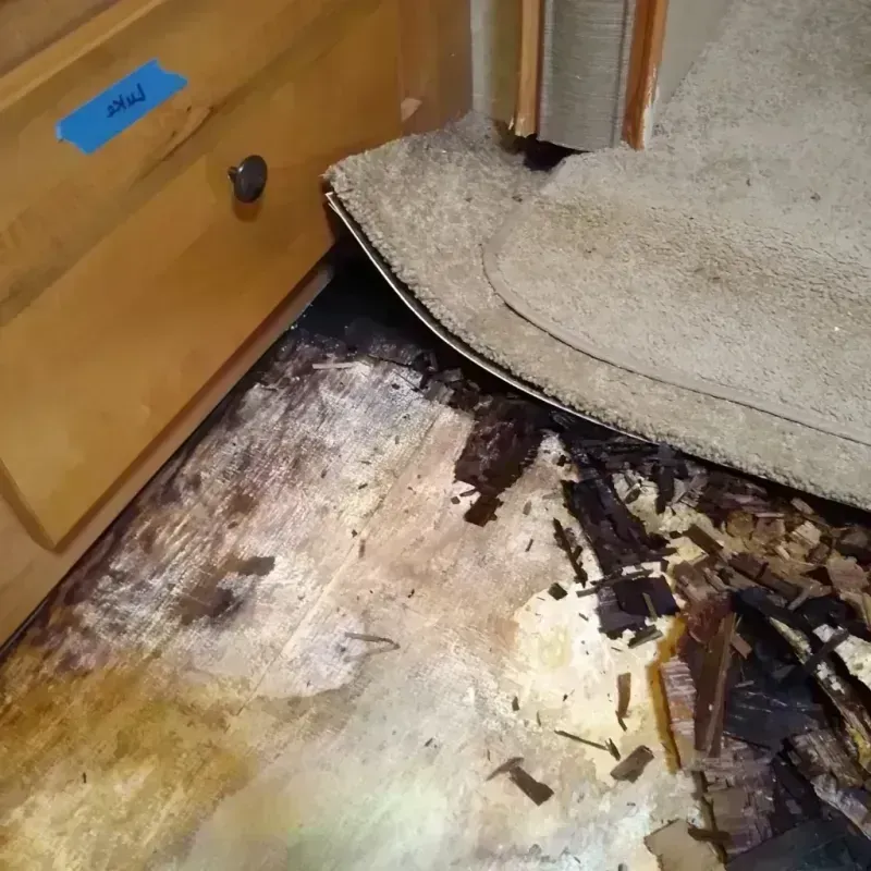 Wood Floor Water Damage in Wildwood, NJ